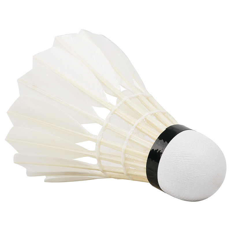 Nowe 12 sztuk profesjonalne pi – Badminton Bwf recenzja i cena
