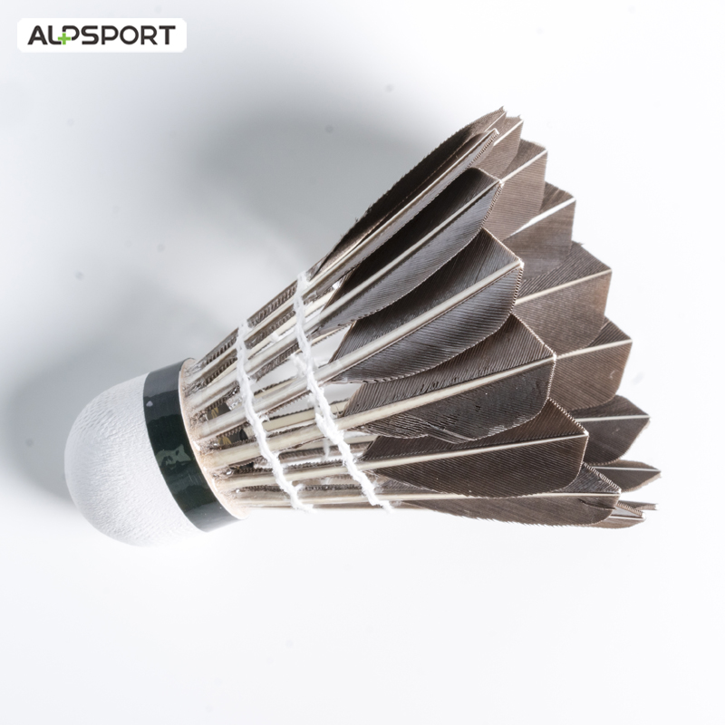 Lotki do badmintona ALP 806, 1 – Badminton Bwf recenzja i cena