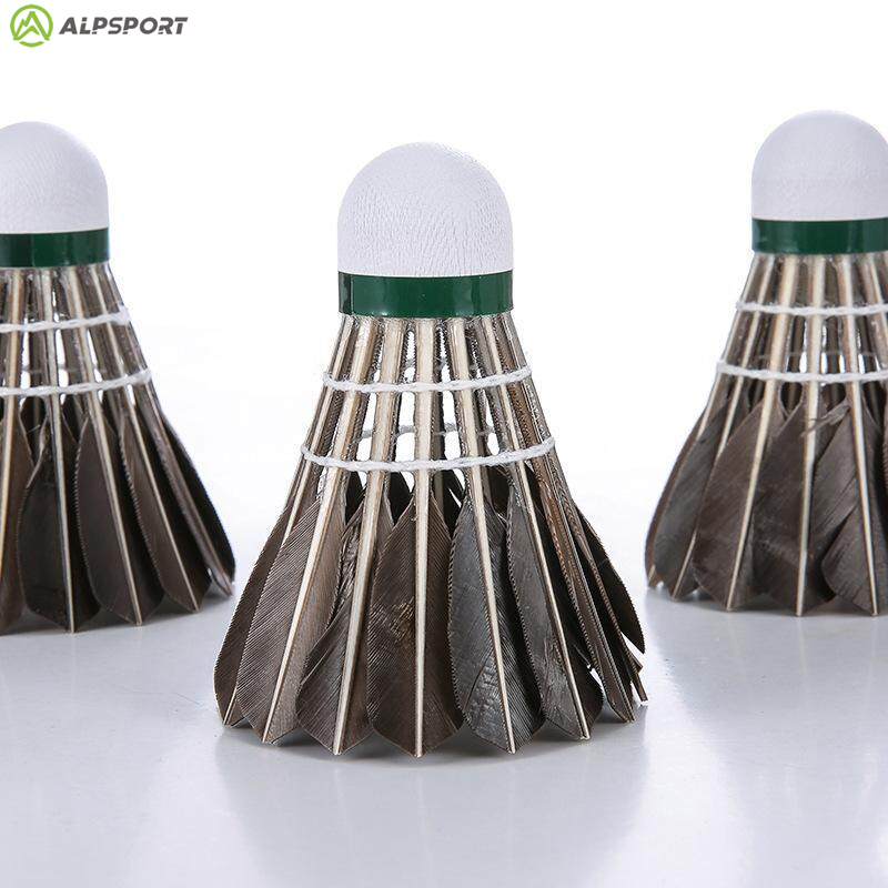 Lotki do badmintona ALP 806, 1 – Badminton Bwf recenzja i cena