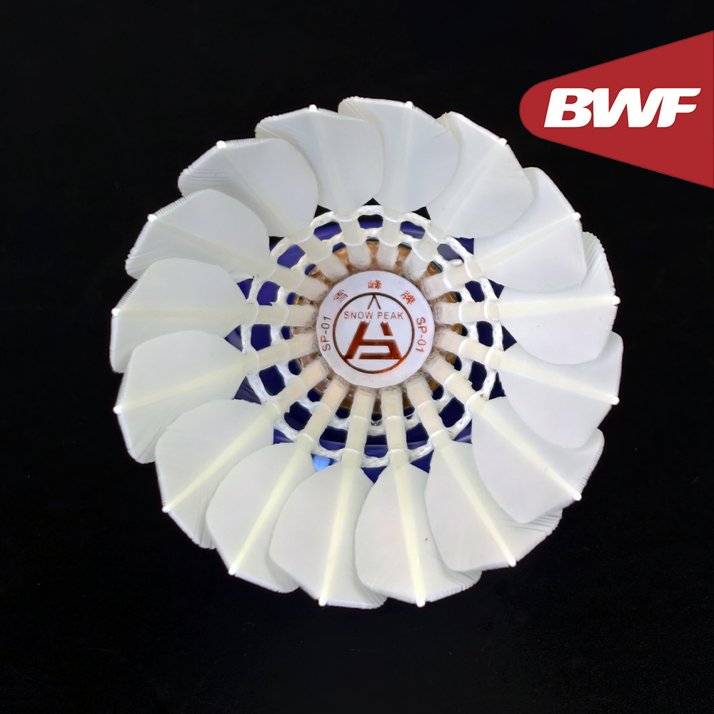 SP-01 Profesjonalne lotki do b – Badminton Bwf recenzja i cena